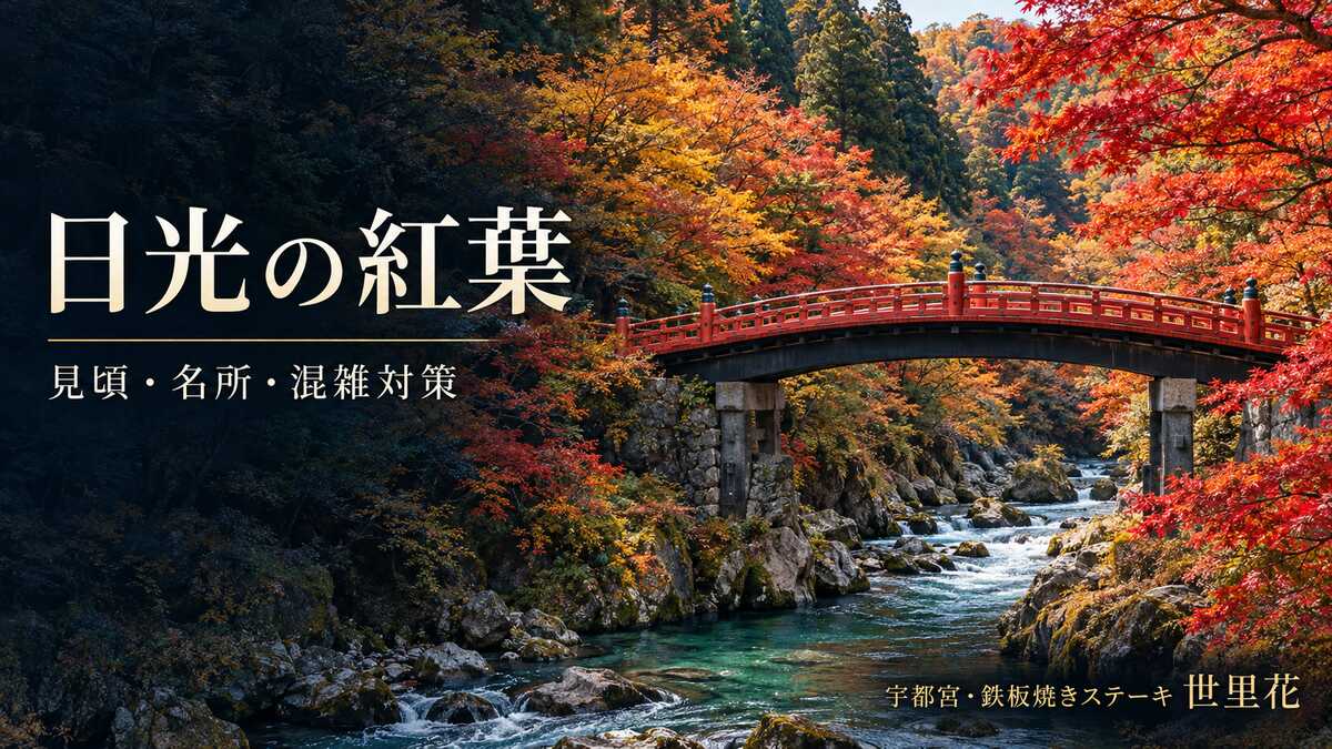 日光の神橋と鮮やかな紅葉｜見頃・名所・混雑対策